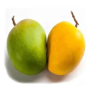 Himsagor Mango from Rajshahi and Chapainawabganj